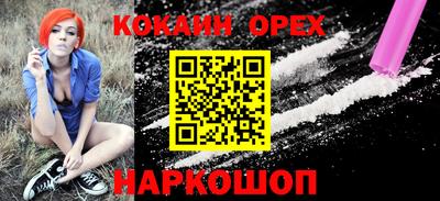 jwh Бийск