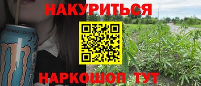 jwh Бийск