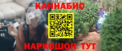 стаф Шелехов