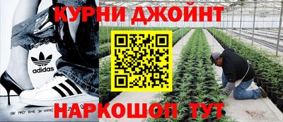 стафф Берёзовский